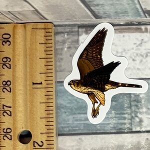 🌀10/$10🌀 Colorful Watercolor Bird Reusable Waterproof Vinyl Sticker Decal